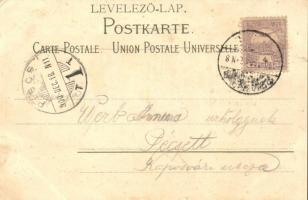 Székesfehérvár, Nádor utca délről nézve, Klökner Péter madárkás Art Nouveau litho képeslapja  (EK)