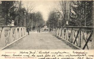 Kassa, Kosice; Széchenyi liget híd / park bridge
