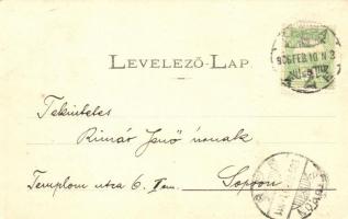 Kassa, Kosice; Széchenyi liget híd / park bridge