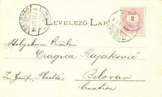 1898 Kassa, Kosice; Üdvözlet. Vitéz A. kiadása / view, floral (Rb)