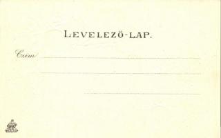 Mohács, Perényiné a mohácsi csatatéren, szőlős Emb. litho. kiadja Weiser Miksa