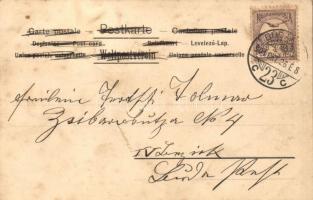 Budapest XIV. Városligeti korcsolyapálya, mechanikus litho képeslap (fl)