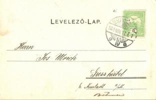 Budapest X. Anron Kreishe szalámigyára, reklámlap / Salami Fabrik, floral (EK)