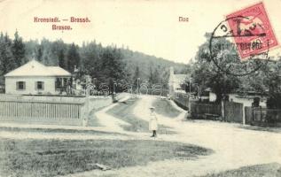 Brassó, Kronstadt, Brasov; Noa, utcakép nyaralókkal. Ciurcu Buchhandlung / street view with villas, TCV card (EK)
