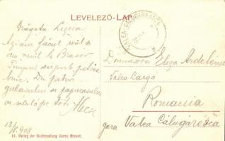 Brassó, Kronstadt, Brasov; Noa, utcakép nyaralókkal. Ciurcu Buchhandlung / street view with villas, ...