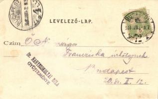 Budapest II. Budakeszi út, Vendéglő a szép juhásznéhoz; kiadja Stern Jakab