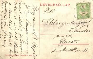 Vajdahunyad, Hunedoara; Vasgyári hivatal. Adler fényirda 704. / office of iron factory  (EK)