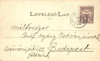 Máramaros, Népmulatság. Kiadja Mayer és Berger / folk festival  (EK)