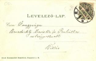 Székesfehérvár, lóherés Emb. litho képeslap. Kunstanstalt Rosenblatt (EK)