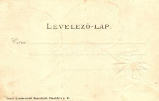 Arad, Vértanú szobor, a 13 aradi vértanú vesztőhelye, Igazságügyi palota, Városház tér; kiadja Kerpe...