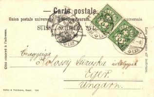 Basel, Wettsteinbrücke mit Münster / bridge, birds, litho frame