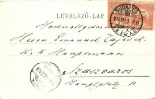 Budapest V. Váci körút, litho