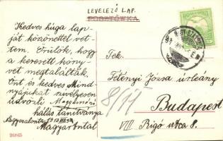 Nagyszalonta, Salonta; Városháza a téren, Schwimmer üzlete / town hall in the square, shop