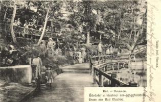 Vízakna, Ocna Sibiului; Kút. Takáts Jenő kiadása / Brunnen / spring