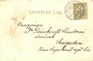 Budapest I. Szent György tér, Honvédelmi Minisztérium palotája, litho (EK)