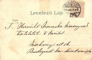 Budapest V. Városház tér, litho (fa)