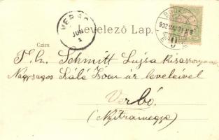 Budapest VII. Erzsébet körút, Erzsébetvárosi bútortelep, litho