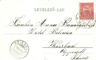 Budapest V. Károly körút, Haldek üzlete, villamosok, litho