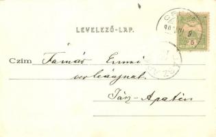 Budapest XXI. Csepel, Duna ág uszályokkal, Art Nuuveau keretben (EK)