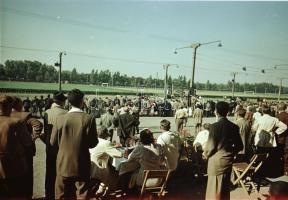 1965 Budapest, Lóversenypálya, 15 db vintage negatív Kotnyek Antal (1921-1990) fotóriporter hagyaték...