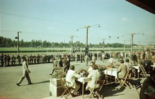 1965 Budapest, Lóversenypálya, 15 db vintage negatív Kotnyek Antal (1921-1990) fotóriporter hagyaték...