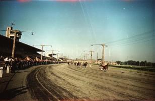 1965 Budapest, Lóversenypálya, 15 db vintage negatív Kotnyek Antal (1921-1990) fotóriporter hagyaték...
