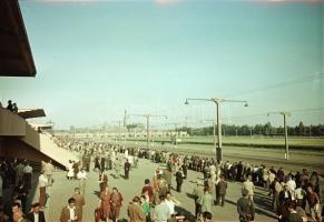 1965 Budapest, Lóversenypálya, 15 db vintage negatív Kotnyek Antal (1921-1990) fotóriporter hagyaték...