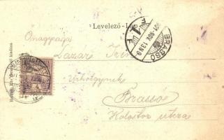 Marosvásárhely, Targu Mures; Kossuth Lajos utca, floral Art Nouveau litho keretben. Holbach Ede kiad...