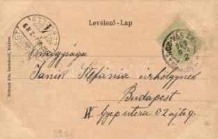 Marosvásárhely, Targu Mures; Fő tér Pototzky Péter üzletével, Holbach Ede kiadása. Címeres litho ker...