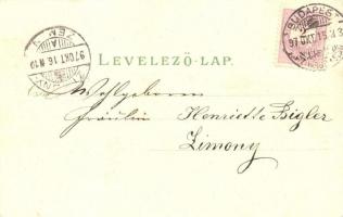 1897 (Vorläufer!) Budapest, Főgimnázium, Gellérthegy, Eötvös szobor. Kunstasntalt Rosenblatt Art Nou...