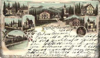 Felka, Velká; Fürdő, étterem, Annaliese villa, turistaszálló, Jolán villa, Dr. Haberern villa, Lenke villa, erdei ház / bath, restaurant, villas, tourist house, forest cabin, floral Karl Schwidernoch litho (b)