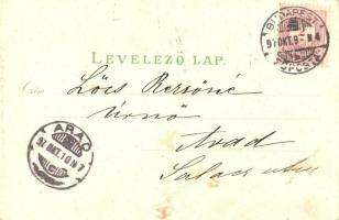 1897 (Vorläufer!) Budapest, Tabán, Császár fürdő, Ferenc József rakpart, Rigler József Ede floral li...