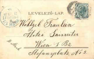 Budapest, rakpart, Deák szobor, címere floral litho. Titkosírással írt képeslap / cryptography litho