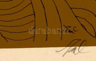 Szász Endre (1926-2003): Öreganyám. Szitanyomat (100/100), papír, jelzett, kis szakadással, keretben...