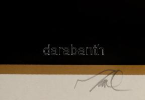 Szász Endre (1926-2003): Fiatalság. Szitanyomat (10/100), papír, jelzett, üvegezett keretben, 36×45 ...