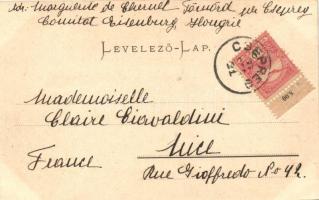 Keszthely, Festetics György gróf szobrának leleplezése, ünnepség, tömeg. Mérei Ignácz kiadása 1902. ...