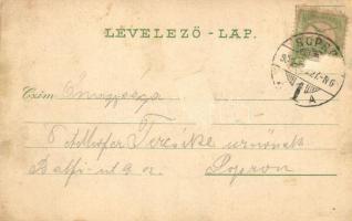 Kapuvár, Baditz és Pesty féle ház, Római katolikus iskola és községháza, Buxbaum Jós. kiadása, flora...