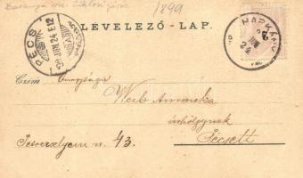 1899 Harkány, gyógyterem, park, floral, Art Nouveau litho (EK)