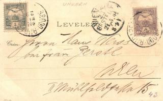 1901 Dombóvár, vasútállomás, Főszolgabírói hivatal, Korona szálloda, floral, Art Nouveau litho