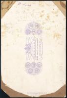 cca 1890 Dr. Kepes Gyula (1847-1924) orvos, altábornagy, az Osztrák Magyar Monarchia  Északi Sarki E...