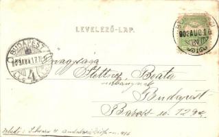 1902 Budakeszi, Erdő utca, lovasszekér. Kiadja Stern Jakab (EK)