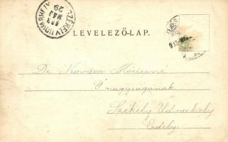 1903 Békéscsaba, Evangélikus püspök bevonulása. Corvina könyvkereskedés kiadása