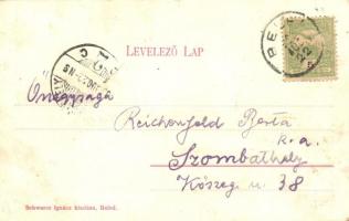 Beled, Barthodeiszky kastély, Fő utca, Schwarcz Ignácz üzlete és saját kiadása  (EK)