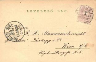 1898 Baja, Korzó, Fő tér, Tóth Kálmán tér és szobor. Rudolf Oesterreicher Art Nouveau litho