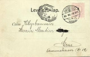 1899 Zalaegerszeg, Deák tér, takarékpénztár, Deák tér, törvényház. Art Nouveau, Floral (fa)