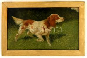 Heyer Artúr (1872-1931): Vadászkutya. Olaj, falemez, jelzett, keretben, 20×33 cm