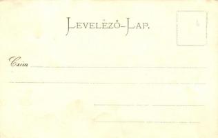 Sopron, Oedenburg; Erzsébet utca, Városháza, torony, Széchenyi tér, Carl Schwarz floral