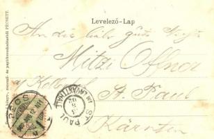 Pécs, Széchenyi tér, magyar zászlós litho lap. Domján I. kiadása