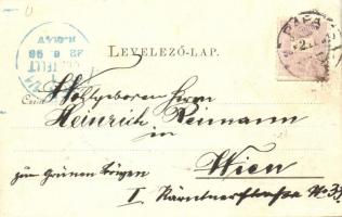 1898 Pápa, Piac tér zsinagógával. Art Nouveau, floral + K.u.K. Infant. Regmt. Graf. v. Degenfeld-Sch...