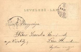 1899 Mosonmagyaróvár, Magyaróvár; Fő és Magyar utca, Új-telep, floral, Art Nouveau litho (Rb)